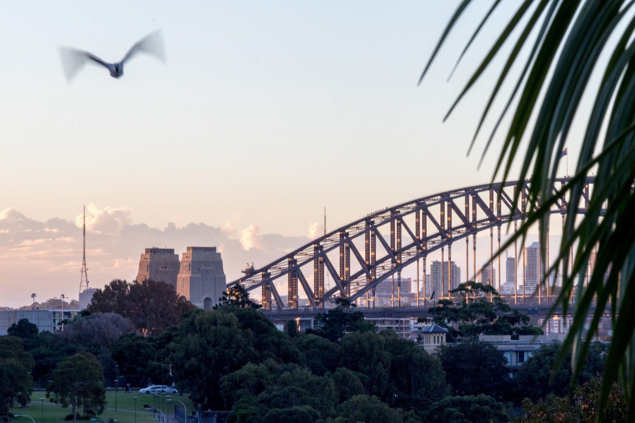 Sydney Locations