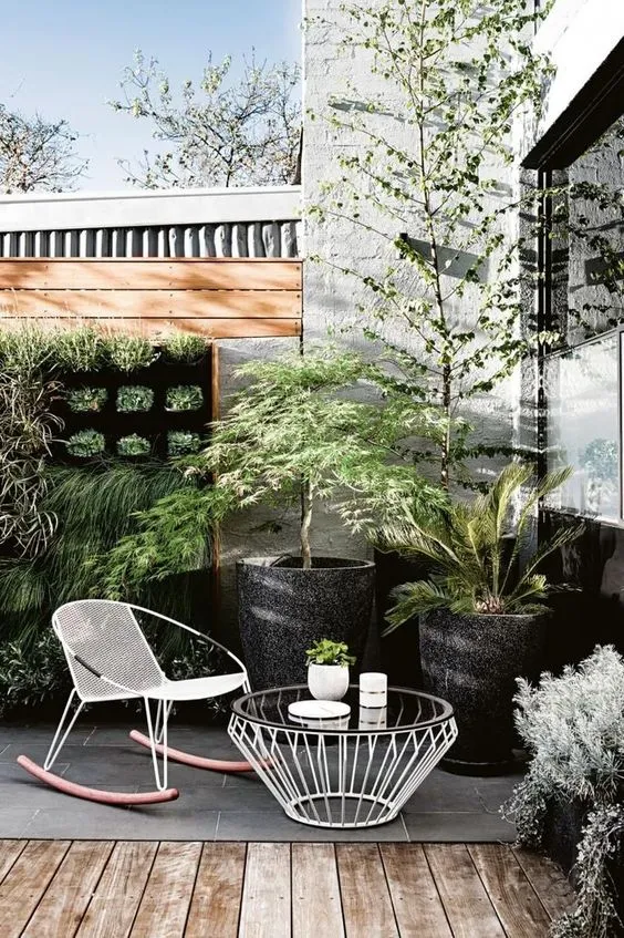 Coastal garden
