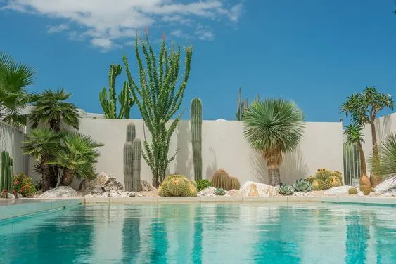 Palm Springs garden