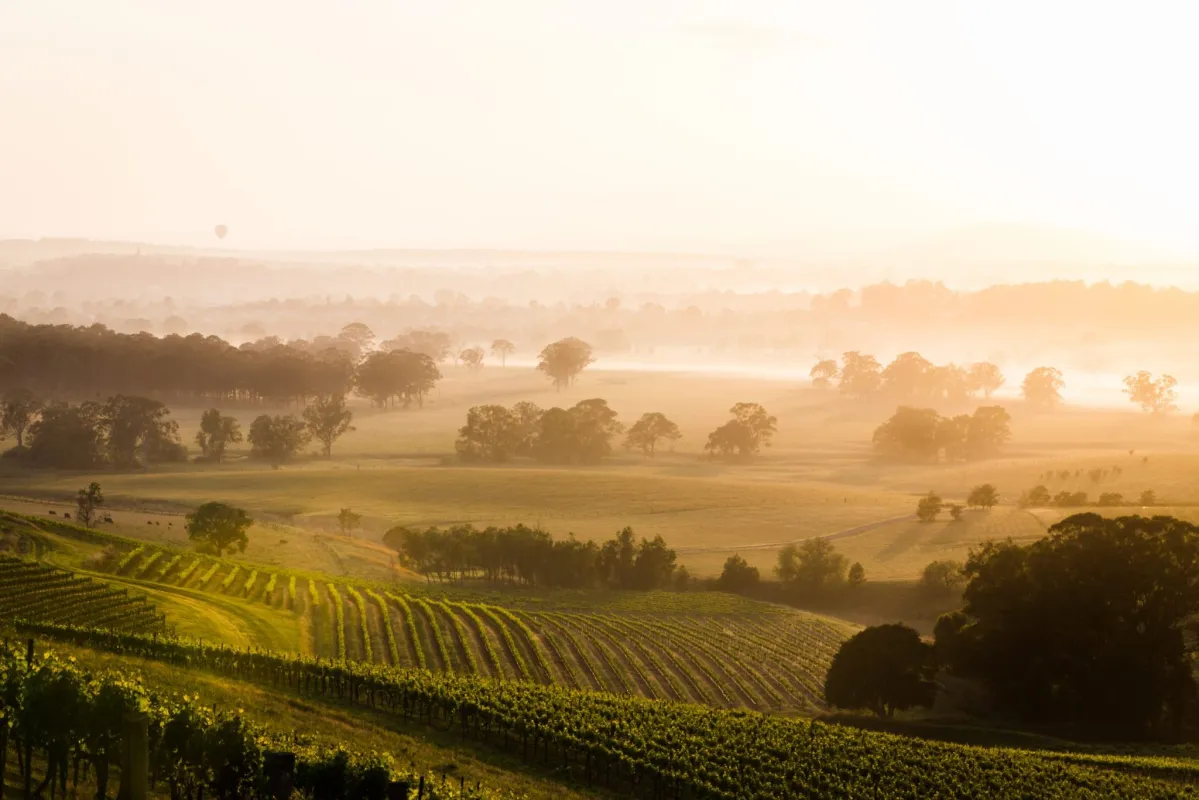 Acreage in the Hunter Valley