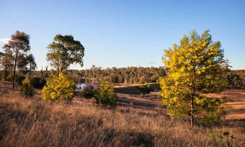 Montgomery-Homes-emerald-hills-estate-house-and-land-leppington-bush