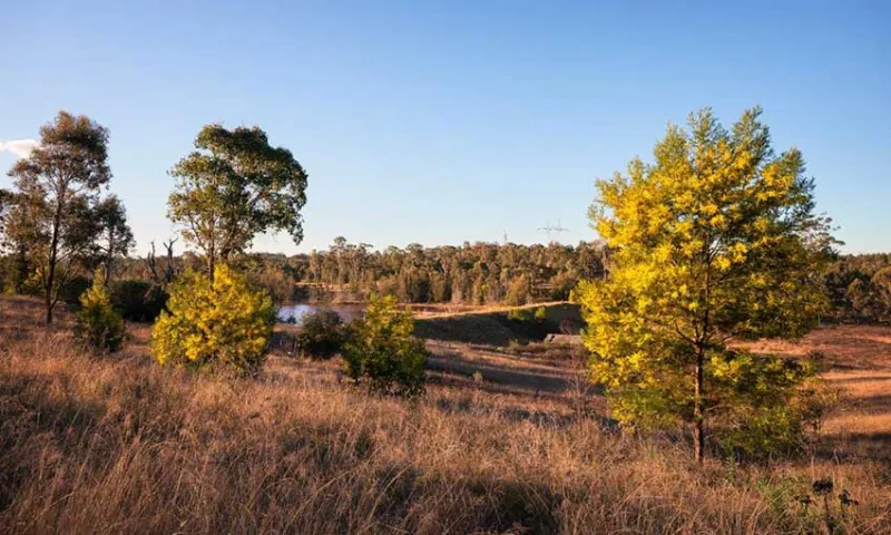 Emerald Hills