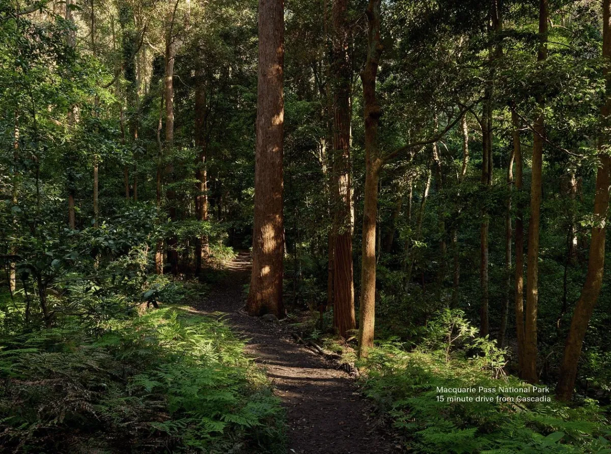 A winding dirt trail through a dense forest of tall trees with lush green undergrowth and dappled sunlight filtering through the canopy. Text overlay indicates this is Macquarie Pass National Park, a 15 minute drive from Cascadia.