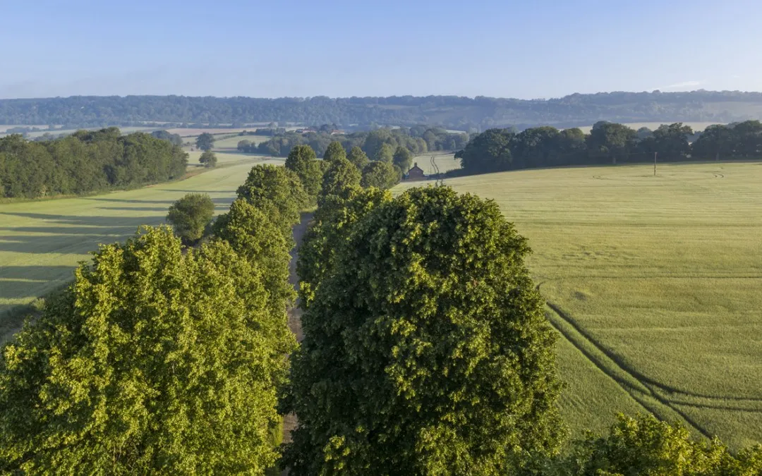 Birling Estate gallery image