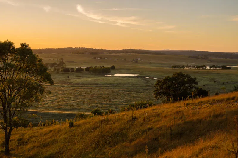 Wallis Creek