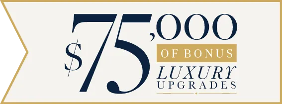 Promotional banner featuring 