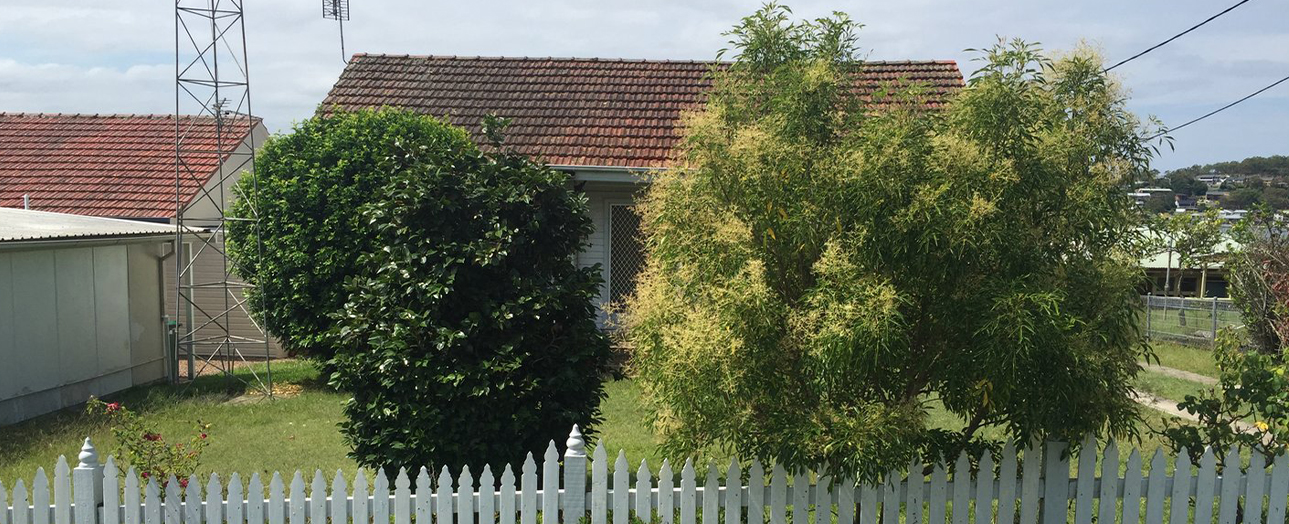 Arcadia Vale property before renovation showing a single-story house with terracotta tile roof partially obscured by overgrown vegetation and tall trees, white picket fence in foreground, metal tower structure visible on left, and grassy yard with outbuildings.