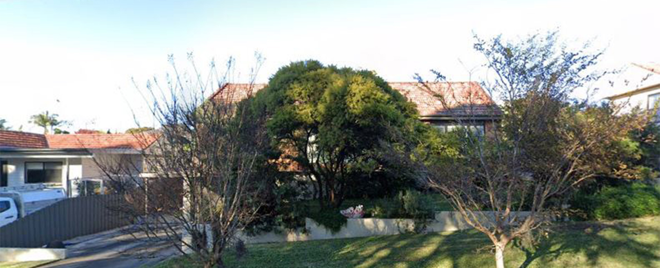 Charlestown residential street showing a row of single-story houses with terracotta tile roofs, overgrown trees and vegetation in yards, metal fencing, and a parked vehicle on the left side.