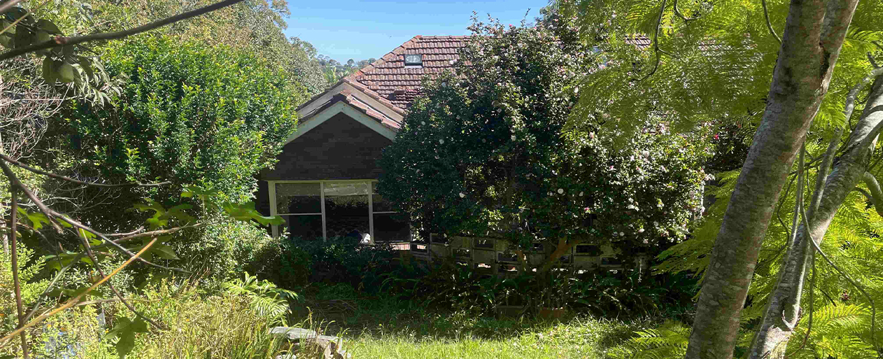 A house with a red tile roof and dark exterior partially obscured by overgrown vegetation and trees. The property is heavily surrounded by dense green foliage, vines, and wild plants that cover much of the structure and yard, creating an unkempt, neglected appearance.