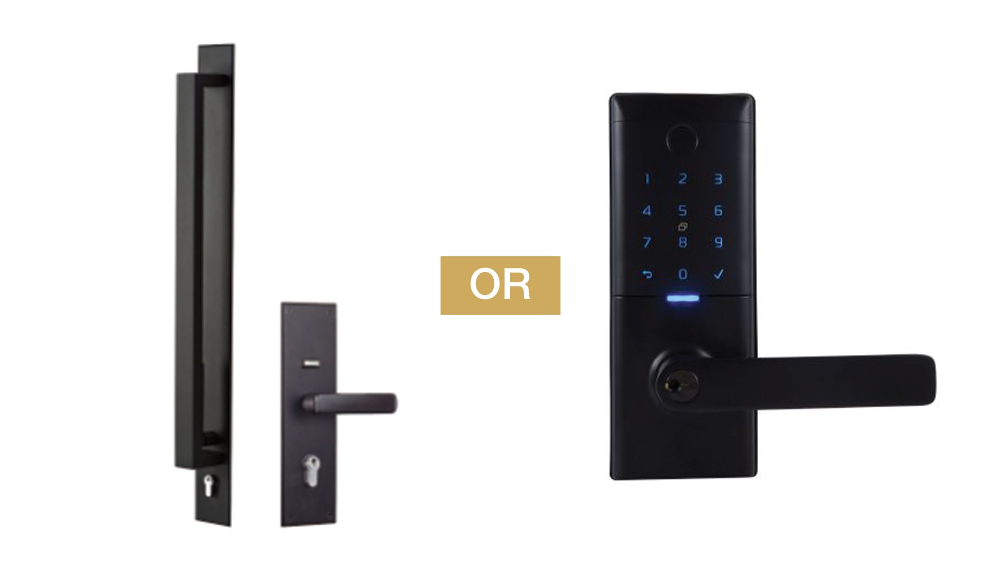 Exterior: Stylish OR Digital entry door handle