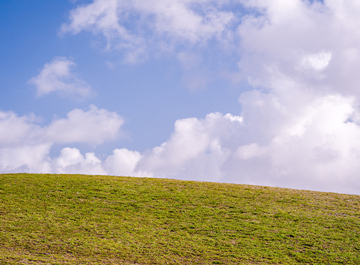 A gently sloping green hillside under a bright blue sky with white puffy clouds.